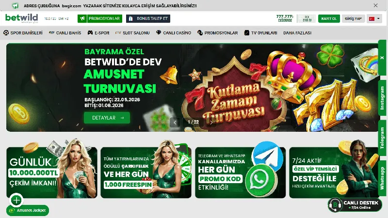 Portada de Betwild Casino: diseño de escritorio