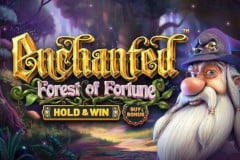 Tragamonedas 
Enchanted: Forest of Fortune