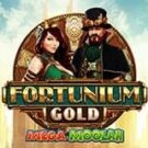 Tragamonedas 
Fortunium Gold Mega Moolah