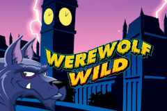 Tragamonedas 
Werewolf Wild