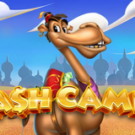 Tragamonedas 
Cash Camel