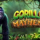 Tragamonedas 
Gorilla Mayhem