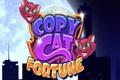 Tragaperras 
Copy Cat Fortune