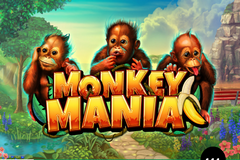 Tragaperras 
Monkey Mania