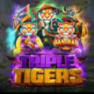 Tragaperras 
Triple Tigers