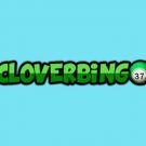 Clover Bingo Casino Online