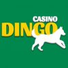 Dingo-casino.com Casino Online