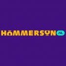 Hommerson.nl Casino Online