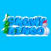 Snowy Bingo Casino Online